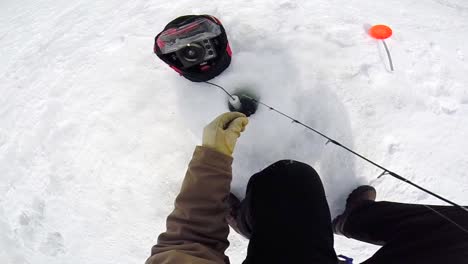 fisher catching fish in ice hole in winter