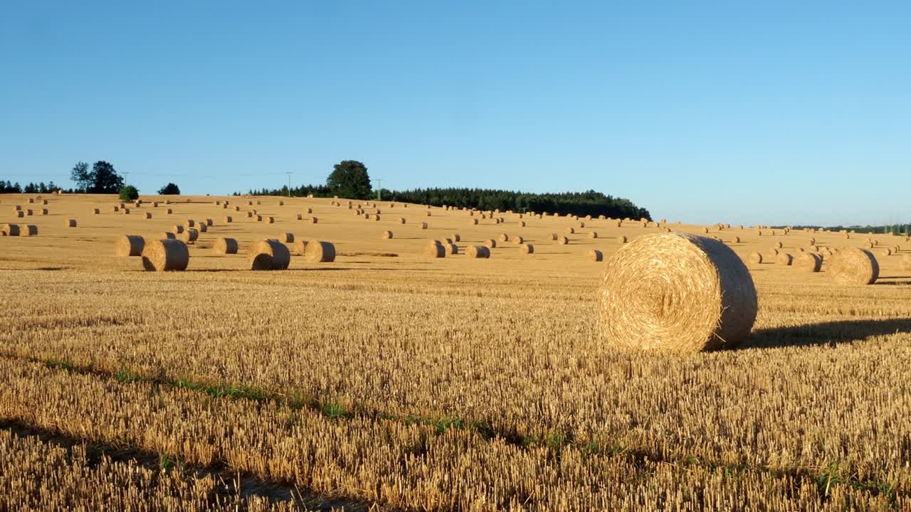 балы сена на поле после сбора урожая. сельскохозяйственное поле. балы сена в ландшафте золотого поля.