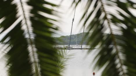 Shipwreck-in-quiet-bay-behind-palm-leaves,-Mediterranean-Sea-shore,-Greece