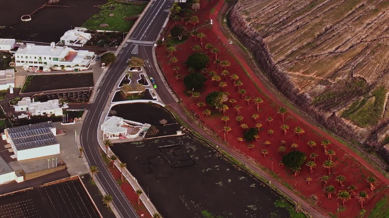 Paesaggio di Lanzarote con strada e palme in Spagna durante il giorno