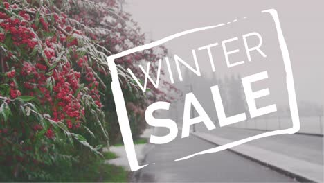 Digitally-generated-video-of-winter-sale-4k