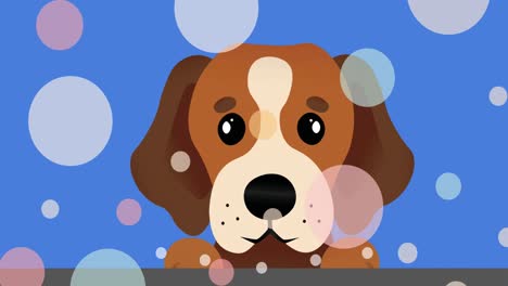 Multiple-colorful-spots-floating-against-cute-puppy-face-icon-with-copy-space-on-blue-background