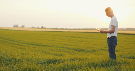 Landwirtschaft-Männlicher-Bauer-Mit-Digitalem-Tablet-Im-Feld