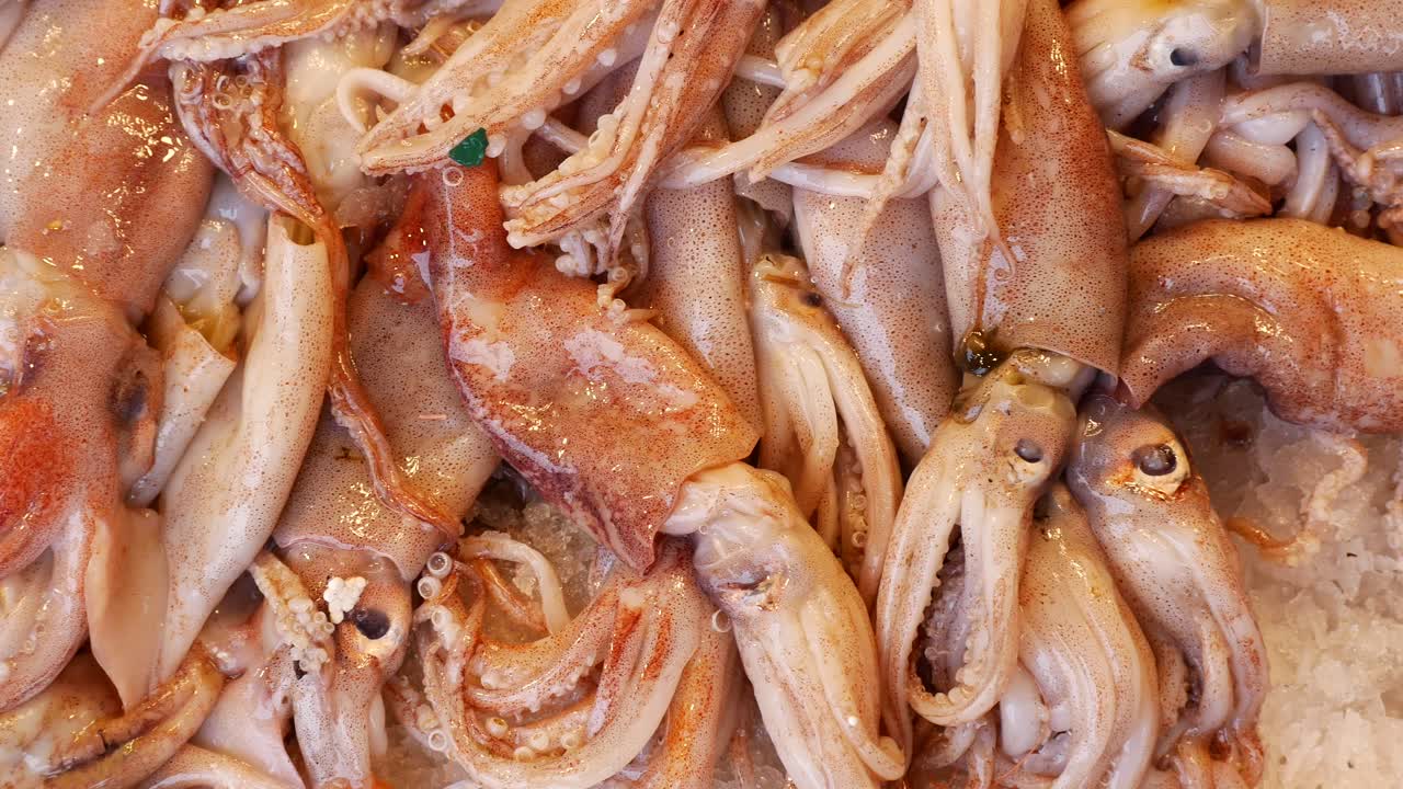 시장 에서 신선 한 오징어