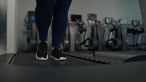 low section of unrecognizable woman with overweight doing training at the gym.