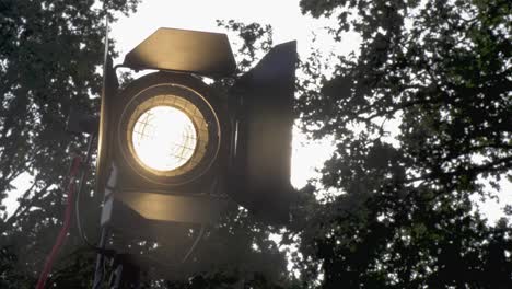 foco de película brillando en la naturaleza