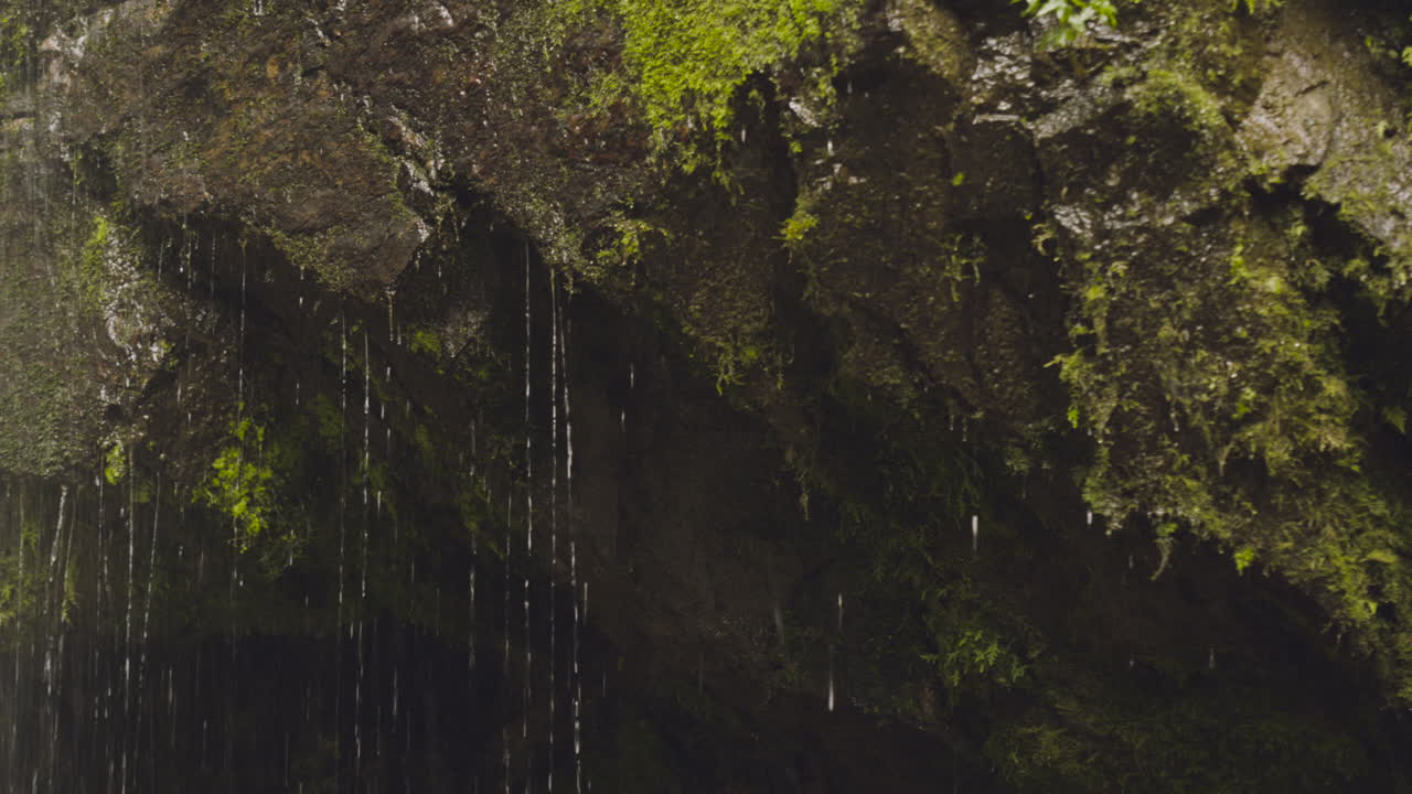 Close-up shot of water falling down rocks in the jungle, Ecuador.
