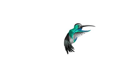 un colibrí volando sobre un fondo cambiante.