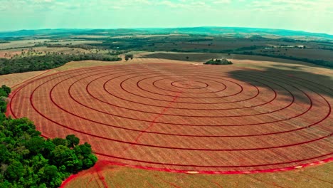 vista aérea panorámica de un campo de cultivo circular en brasil