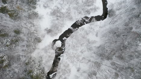 narrow stream wandering through winter forest landscape