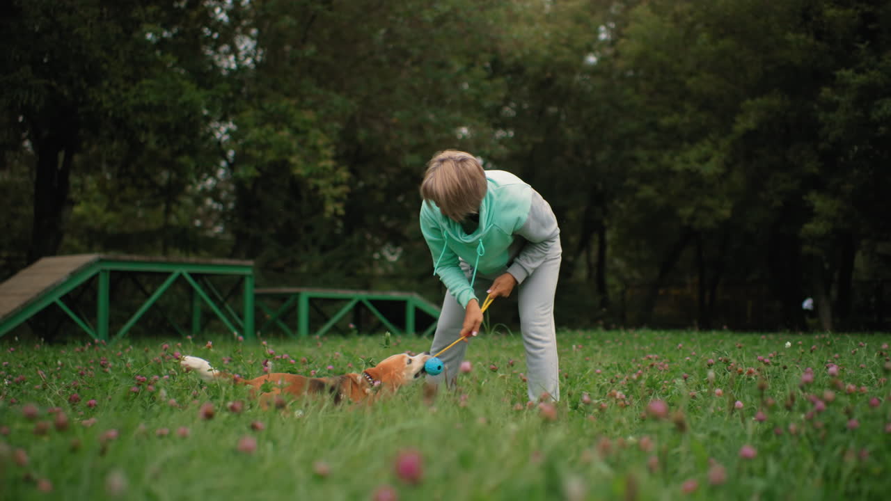 Dog coach in ash wear playfully trying to remove push ball from bulldog mouth while dog turns around joyfully in grassy field surrounded by purple flowers and lush green trees during training session