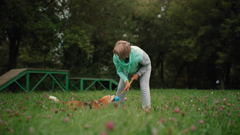 dog coach in ash wear playfully trying to remove push ball from bulldog mouth while dog turns around joyfully in grassy field surrounded by purple flowers and lush green trees during training session