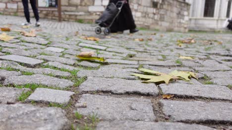 autumn leaves on cobblestone street