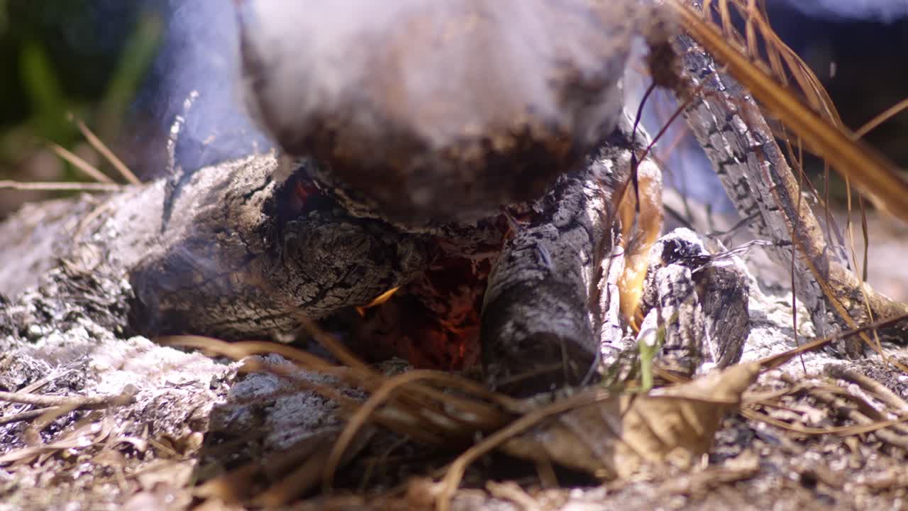 Close-up of a Campfire Burning