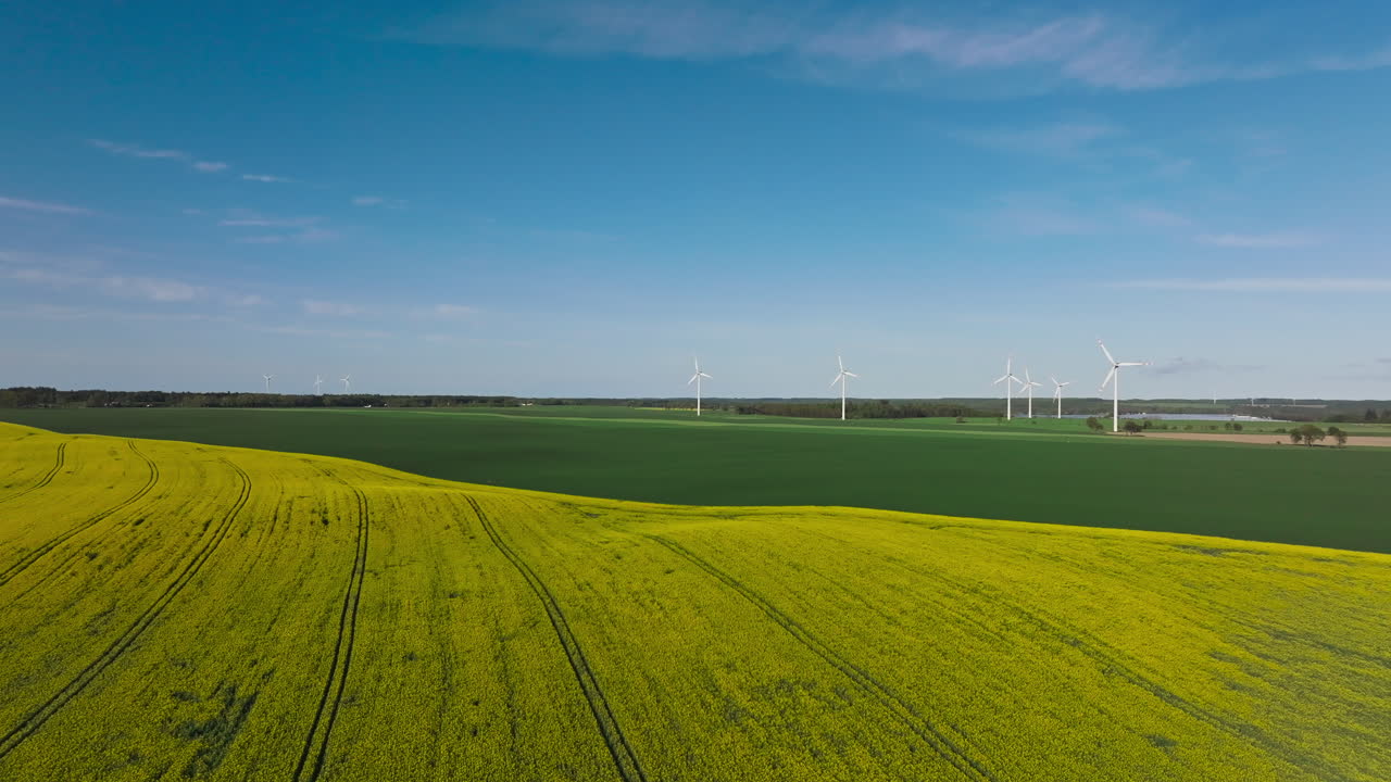 Rapeseed Flowers In Full Bloom With Wind Farm In The Background. - aerial shot