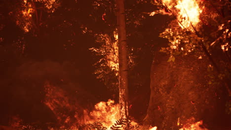 grandes llamas de incendios forestales por la noche