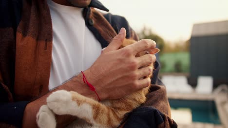 close-up shooting: a man holds and strokes a red cat. rest in the country house