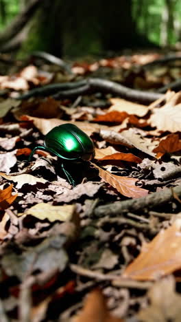green beetle on forest floor