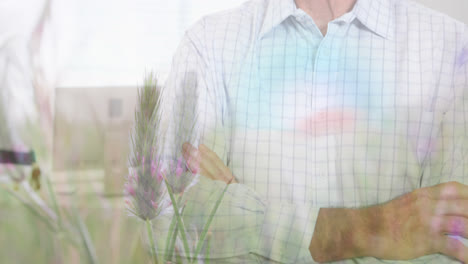 Animation-of-glowing-light-over-portrait-of-happy-senior-man-and-meadow