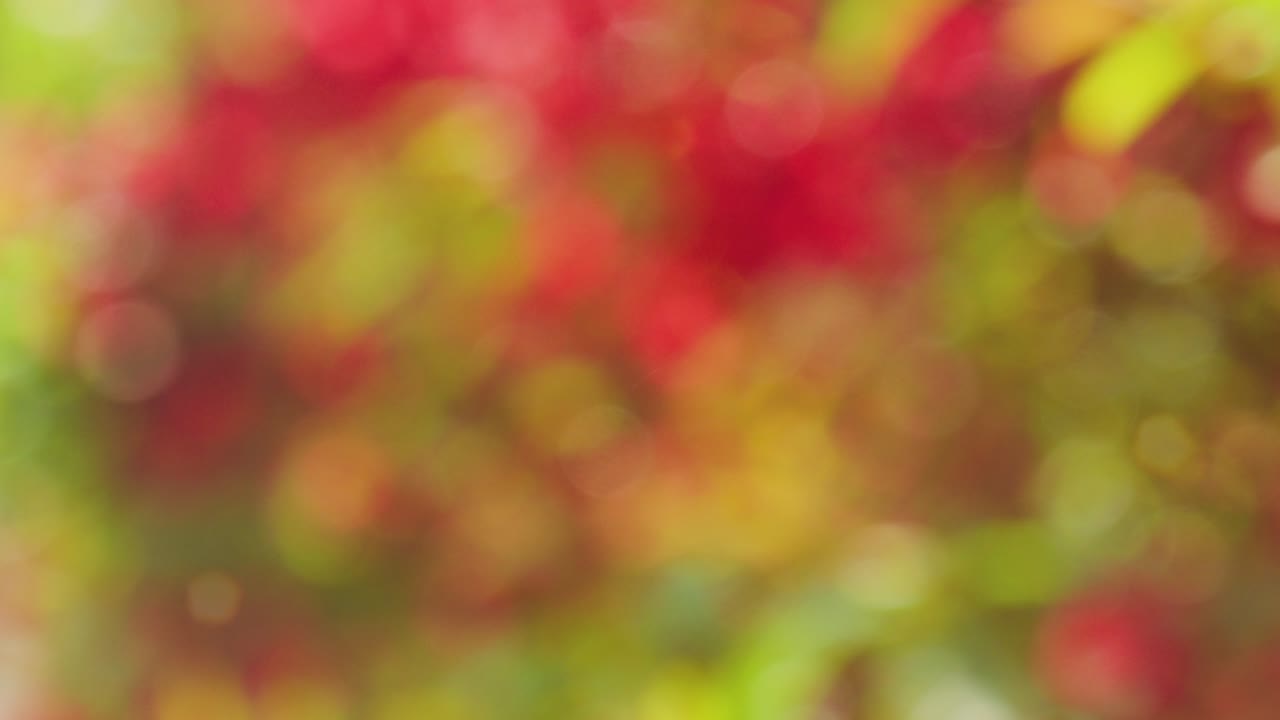 Abstract spring background with bokeh