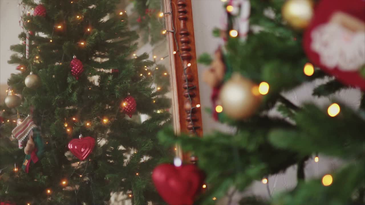 árboles de navidad con decoraciones