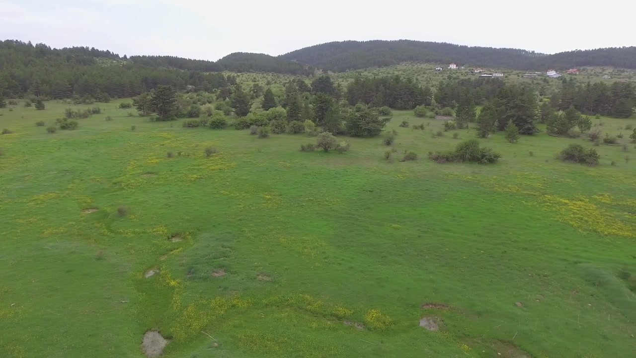 Vista aerea di un rigoglioso prato verde e colline boscose