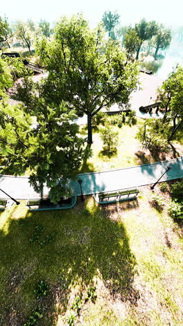 un parque con un camino, bancos y árboles