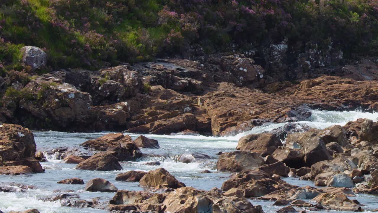 Clear mountain stream rushes over rocks, surrounded by greenery, daylight, steady camera, tranquil mood