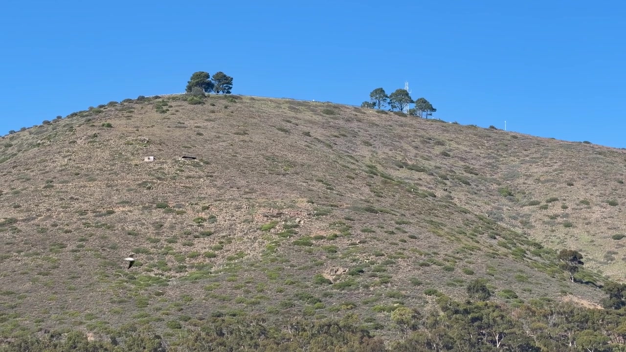 Signal Hill in una giornata limpida e senza nuvole a Città del Capo.