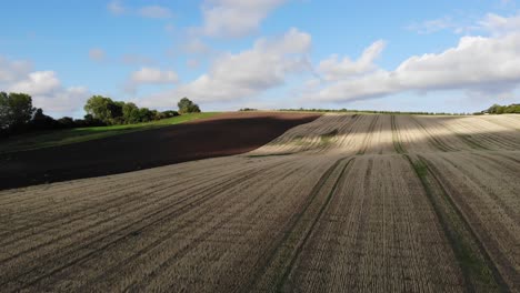 Aerial-view-of-golden-fields-with-brown-mold-close-to-Sejerøbugten-in-Odsherred