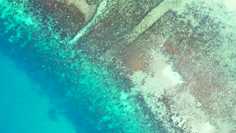 sea texture with coral reefs under calm clear water of turquoise lagoon on shore of tropical island in caribbean