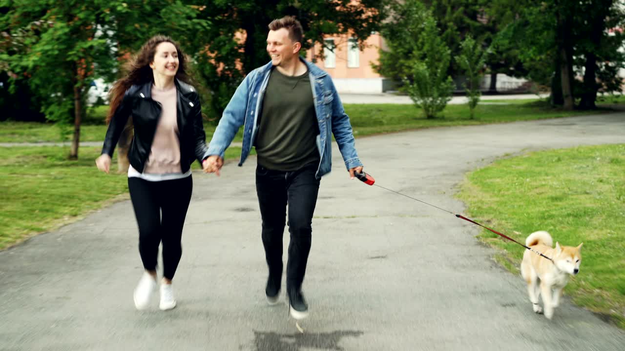 미소 짓는 젊은 부부는 귀여운 개와 함께 공원에서 달리고 있으며, 활동과 손잡이를 즐기고 있습니다. 만적 인 관계, 동물과 운동 개념을 사랑합니다.