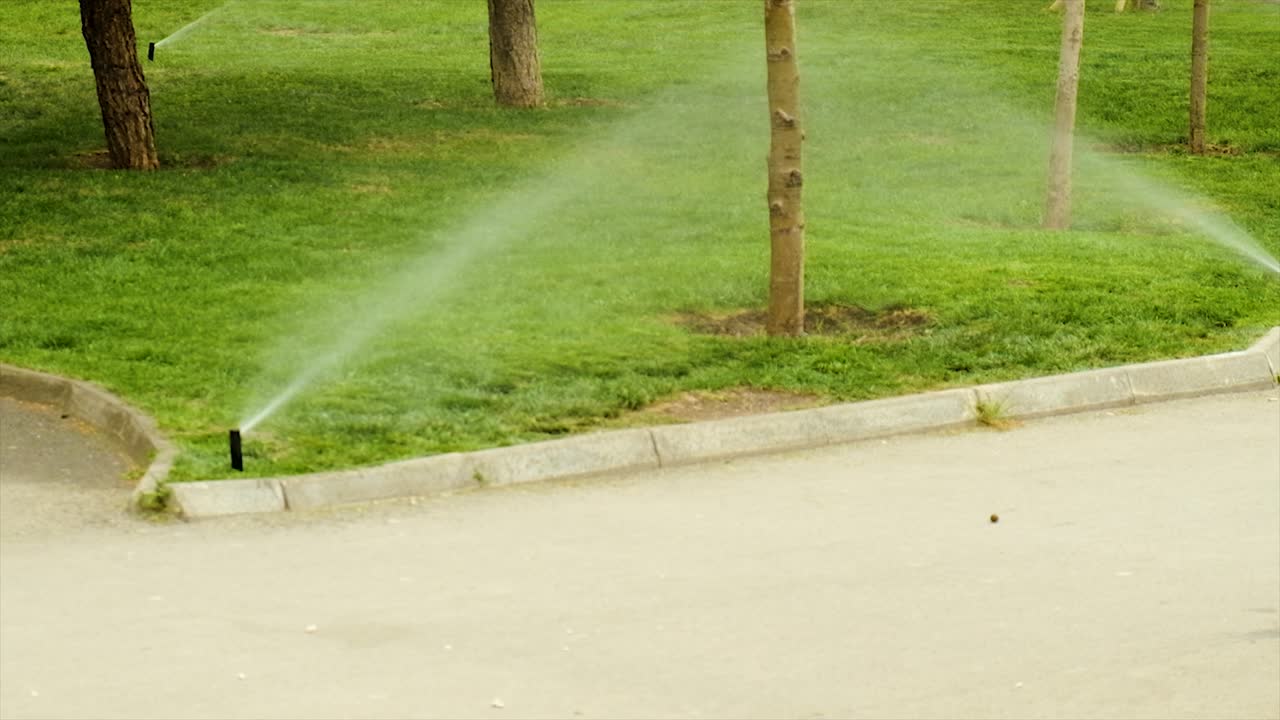 Innaffiare l'erba nel parco. Messa a fuoco selettiva. Natura