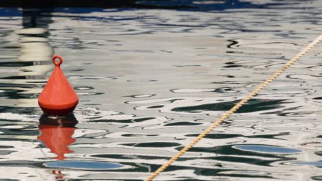 red buoy floating on calm water