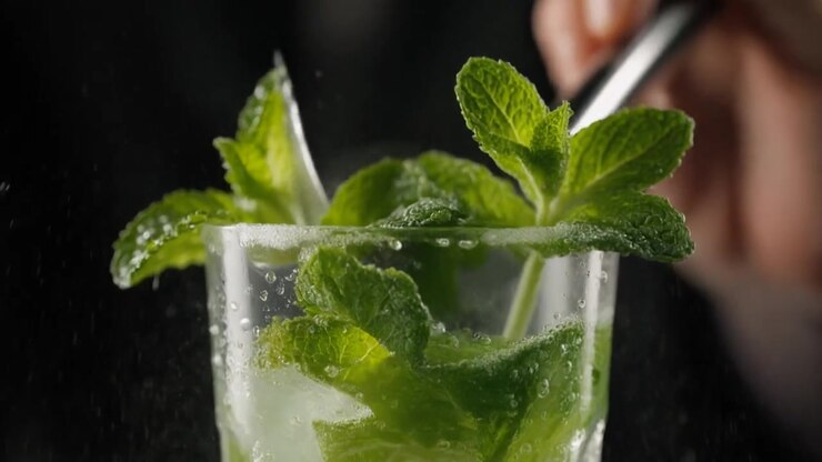 Barman che prepara un rinfrescante cocktail Mojito con menta fresca