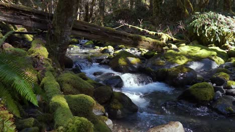 water cascading over moss covered rocks on a warm spring day