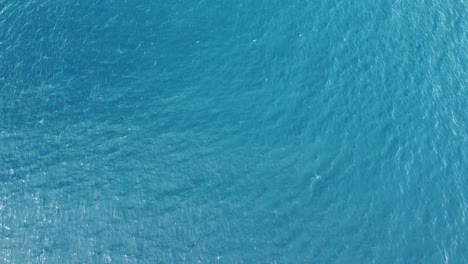 Therapeutic-birdseye-view-of-cerulean-blue-ocean-water-with-gentle-ripples