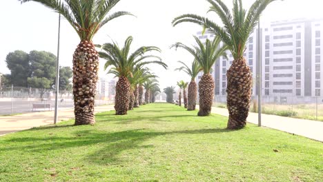 woman with mask running towards camera on avenue with palm trees and grass