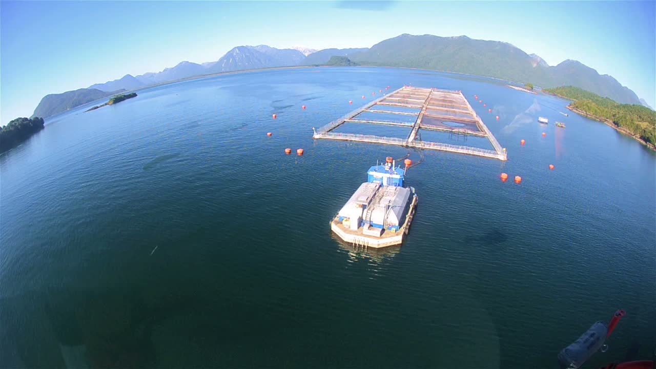 칠레 남부의 파타고니아 북부에 있는 차이튼 근처의 대서양 연어를 포함하는 칠레 양어장의 항공