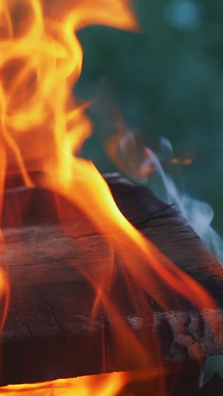 Bright red flames burning branches, closeup. Bonfire. Slow motion Vertical video