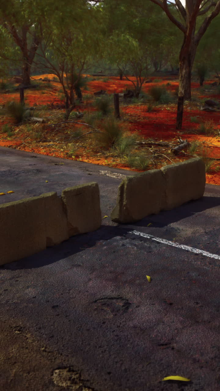 un camino de tierra está bloqueado por bloques de hormigón en el medio de un bosque