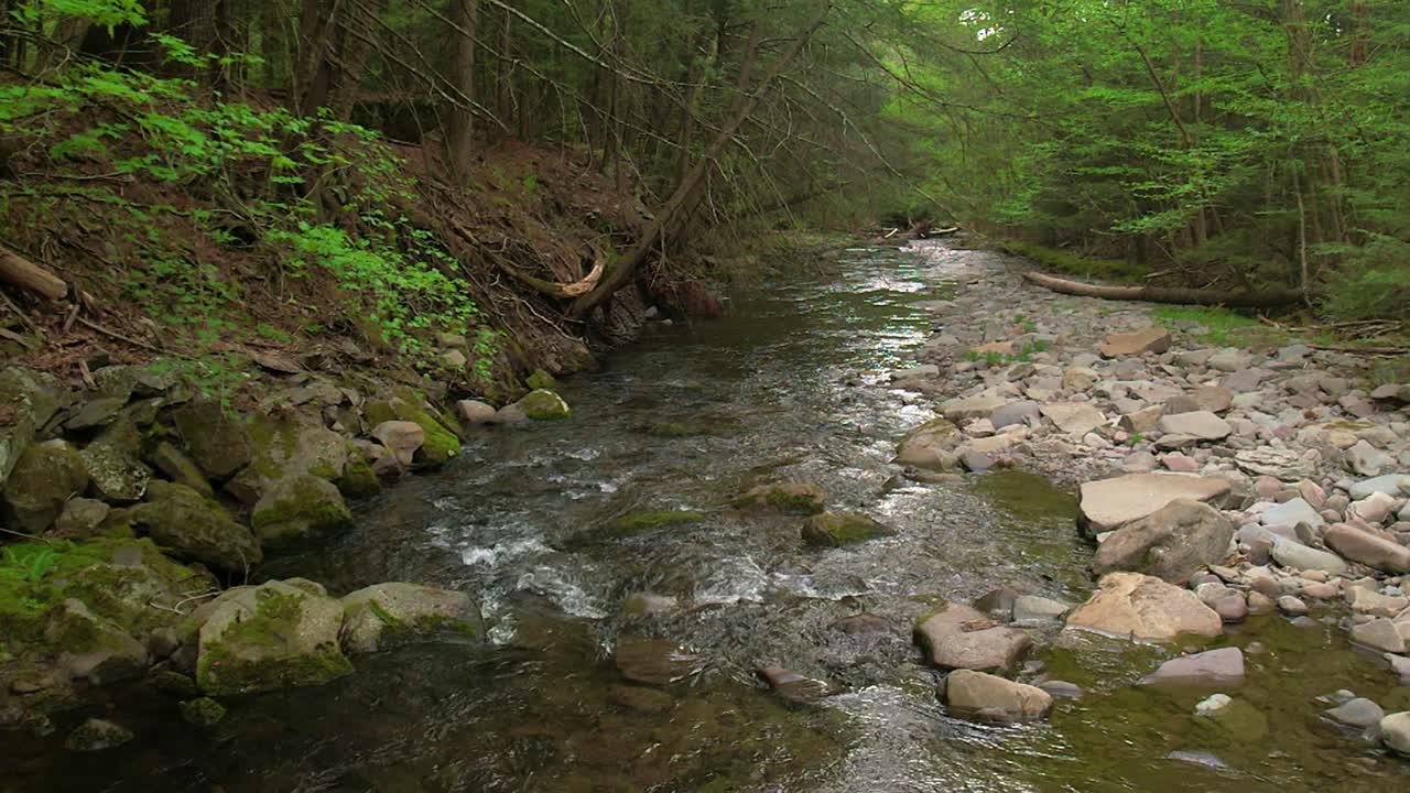 Smooth low slow-motion drone footage of a beautiful stream in a lush, green, magical forest