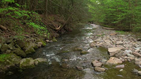 Imágenes-Suaves-De-Drones-En-Cámara-Lenta-De-Un-Hermoso-Arroyo-En-Un-Bosque-Exuberante,-Verde-Y-Mágico