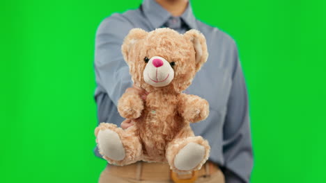 Teddy-bear,-green-screen-and-person-with-charity