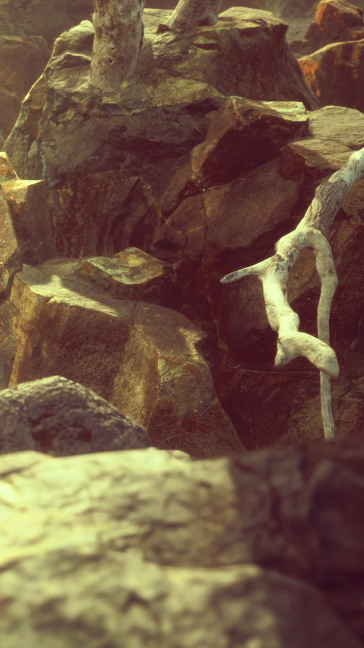 Rocks in a dry landscape near a body of water during daylight hours