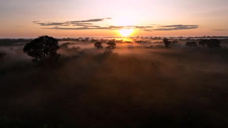 Vista-Aérea-De-Drones-Del-Amanecer-Escénico-En-La-Selva-Tropical-Amazónica-Con-Rayos-De-Niebla-Vívidos-En-La-Mañana-Cerca-De-Un-Lago-Fluvial