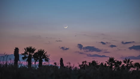 luna creciente delgada poniéndose sobre nubes finas y paisaje desértico con cactus, al cielo nocturno