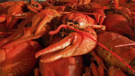 boiled crayfish close-up