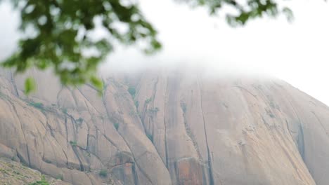 Fog-shrouded-mountain-in-background,-tree-leaves-in-foreground