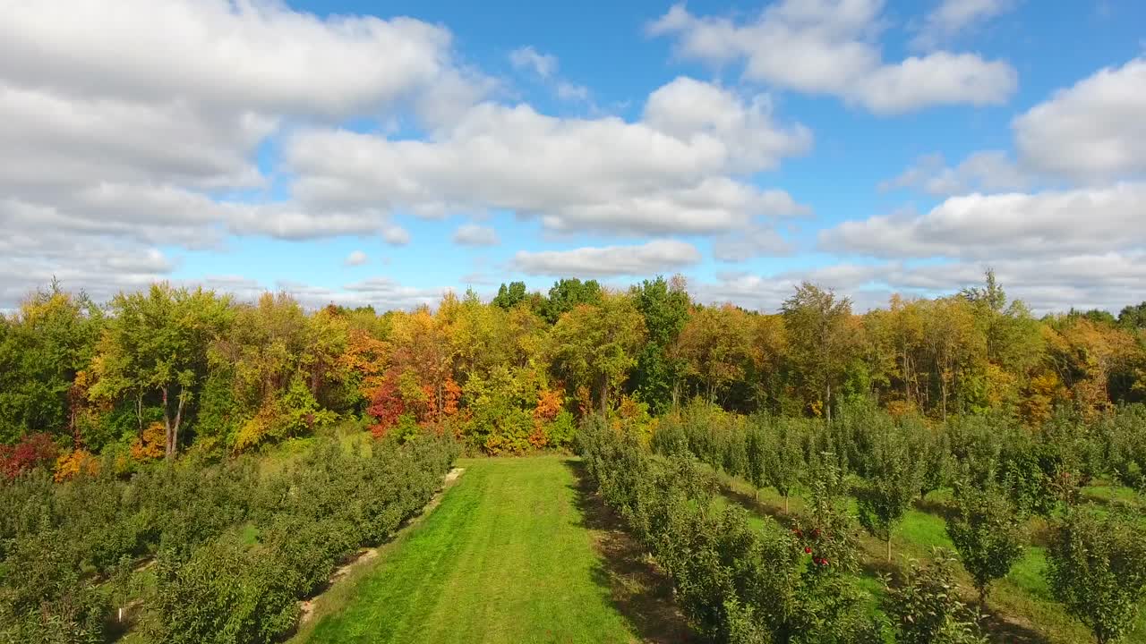 colores de otoño huerto de manzanas antena